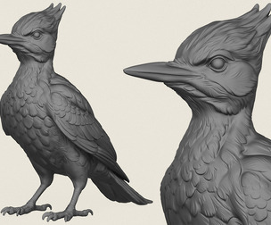 Woodpecker Bird