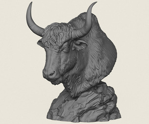 Himalayan Yak Bust