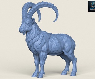 Mouflon Goat
