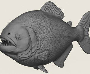 Piranha Fish