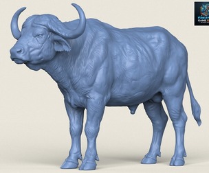 Indian Buffalo