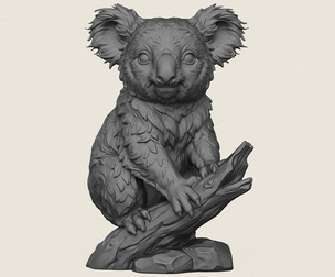 Koala Bear