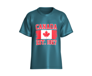 Men Vintage Canada Maple Leaf Graphic Jersey Tshirt | Marvelous / Clo3d / obj / fbx