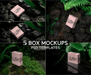 5 Luxury Box Mockup PSD Templates - Professional High-End Organic Packaging Bundle