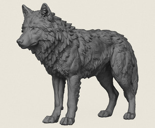 Himalayan Snow Wolf
