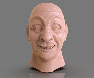 Pirate Head Mechatronic