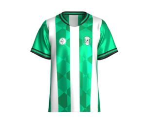 Men Green And White Vertical Stripe Sublimated Jersey | Marvelous / Clo3d / obj / fbx