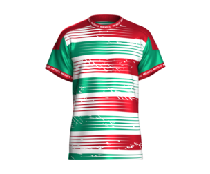 Men Mexico Speed-Striped Sublimated Jersey | Marvelous / Clo3d / obj / fbx