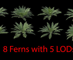 Fern Dryopteris 01-08 Set with LODs