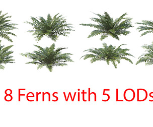 Sword Ferns 01-08 with LODs