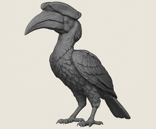 Hornbill Bird