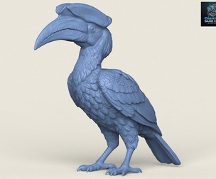 Hornbill Bird