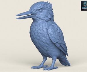 Kingfisher Bird