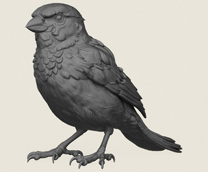 Sparrow Bird