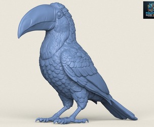 Toucan Bird