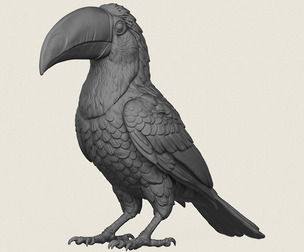 Toucan Bird