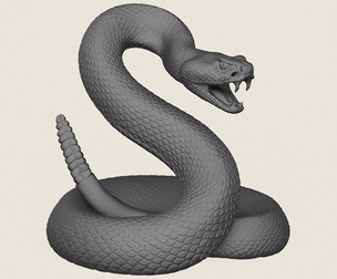 Rattle Snake Attacking