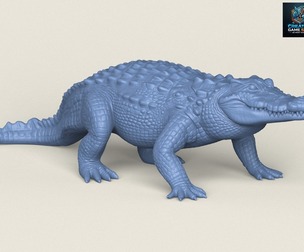 Wild Crocodile