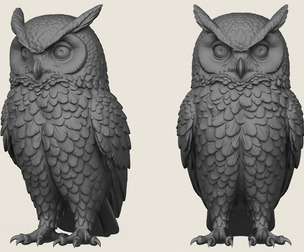 Wild Owl Bird