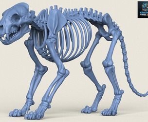 Tiger Skeleton Print Ready 3D Model