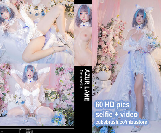 Collection