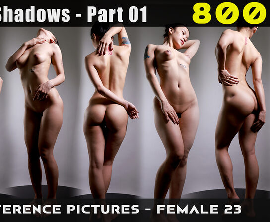 Collection