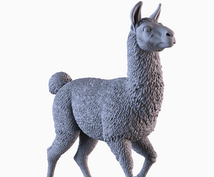 Llama