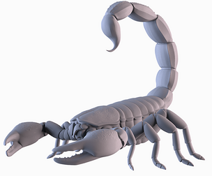 Scorpion
