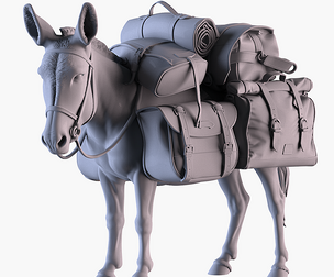 Mule
