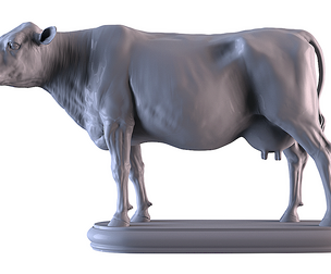 Cow