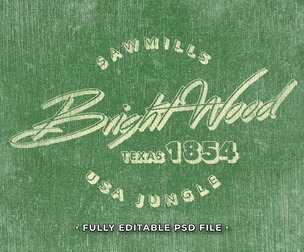 Vintage Bright Wood PSD Fully Editable Text Effect. Layer Style PSD Mockup Template