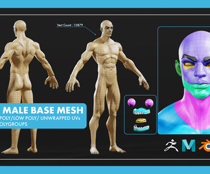 Stylized Male Basemesh