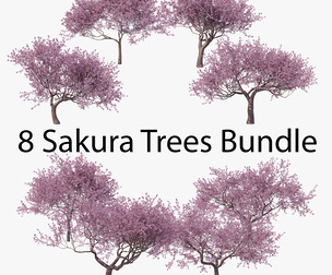Blossoming Sakura High Poly 01-08 Bundle PBR