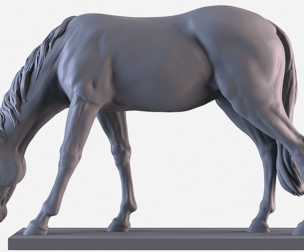 Razing Horse