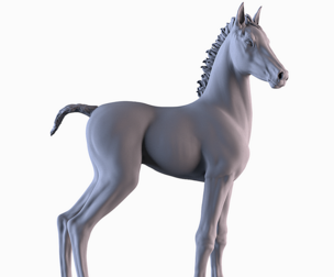Young Horse
