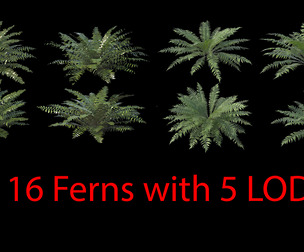 Ferns Collection with 5 LODs