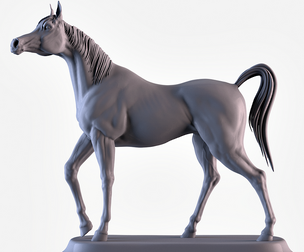 Arabian Horse