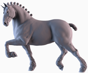 Shire Horse Marching