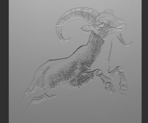 Relief model of a mountain sheep