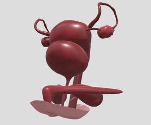 Realistic Vagina Cutaway 3D Model