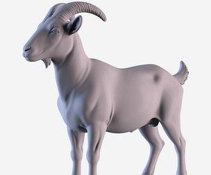 Nanny goat