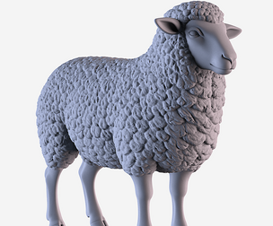 Sheep