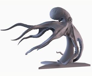 Octopus