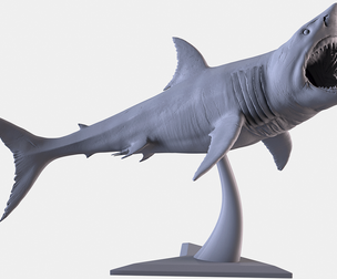 White Shark