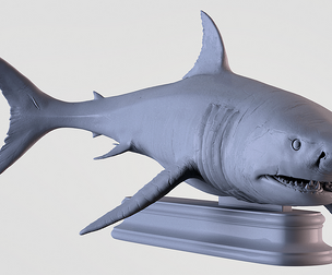 White Shark