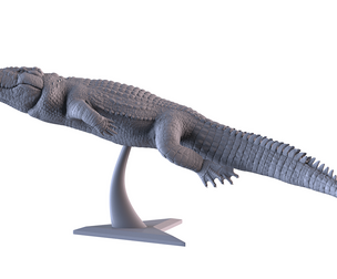 Crocodile