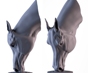 Horse Head Drinking Water