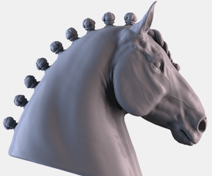 Horse Head