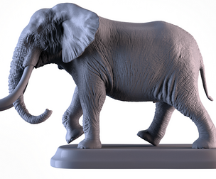 Elephant