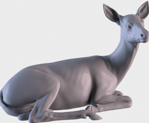 Deer lying down